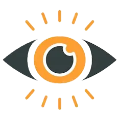 Vision